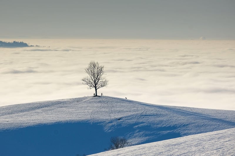 Travel Photography
